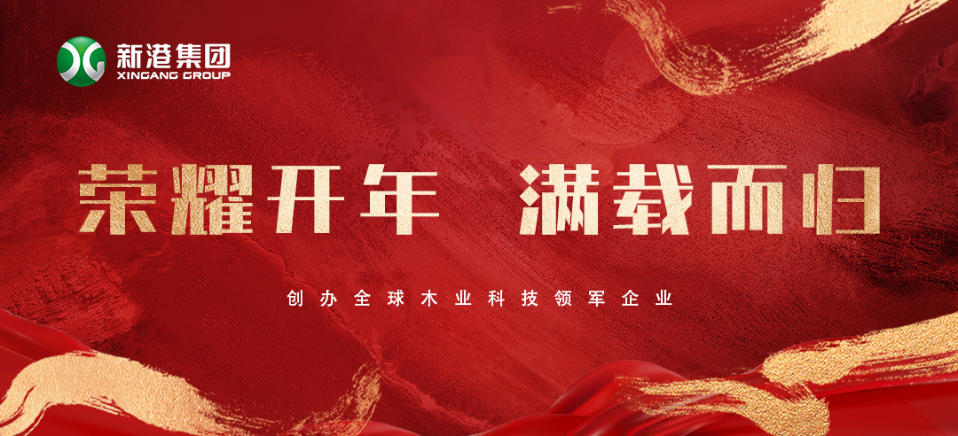 2025喜讯频传！新港集团荣膺多项大奖，再获行业认可！