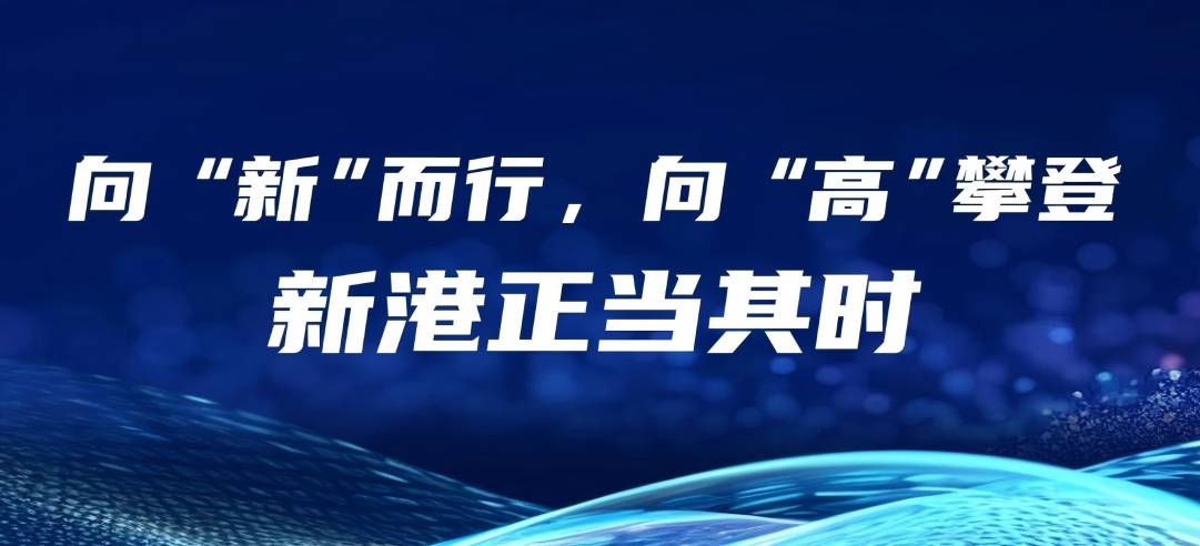 民营经济大有可为丨向“新”而行，向“高”攀登，新港正当其时