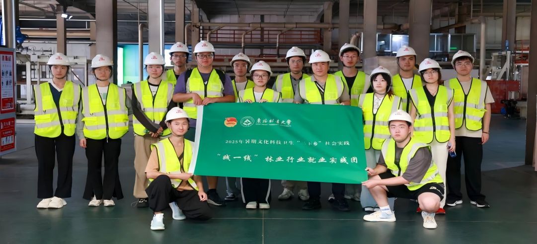 东北林业大学“践一线”林业行业就业实践团走进新港集团，共绘产教融合新图景！